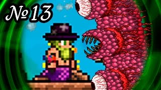 Terraria Zadrotia Expert // СТЕНА ПЛОТИ [13]