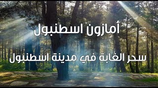 غابات الأمازون في اسطنبول  - Şamlar Tabiat Parkı