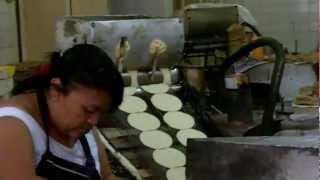 Merida Mexico Market Shopping and Tortilla Making Mercado Style