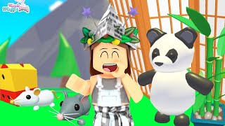 LIVE ATUALIZAÇÃO ADOPT ME NOVOS PETS PANDAS E RATOS (Roblox)