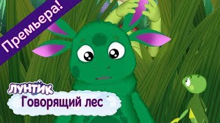 Говорящий лес ? Лунтик ? Новая серия | 491 | Премьера!