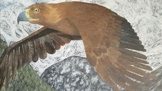 Как нарисовать Орла и Горы маслом