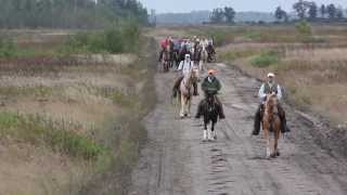 POINTING DOG FIELD TRIALS ~ PART I CHAMPIONSHIP