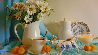 Натюрморты с ромашками