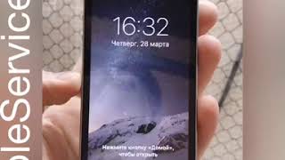 Замена экрана iPhone 5s Тюмень