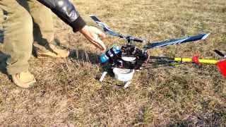 Trex 500 PRO Ala Crash Pilot Gulyás Gábor