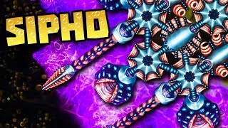 NEW ALIEN POISONS ENEMIES! - Sipho Gameplay - IO & Spore style game