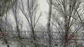 Херсон. Такой февраль. Снегопад. Но потом снег растаял.. Victoria S