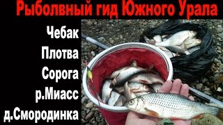 Ловля чебака, плотвы, сороги р.Миасс д.Смородинка РЫБОЛОВНЫЙ ГИД Южного Урала 7 мая 2015