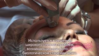 Цветущий лотос. Фракционный фототермолиз