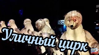 Французские Медведи в  Сибире french bears in siberia г.Красноярск #Ash888881
