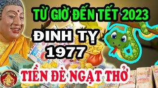 Thần Đồng Tiên Tri Dự Báo Đinh Tỵ 1977 Số Mệnh Giàu Sang Từ Nay Đến Tết 2023 CỰC GIÀU