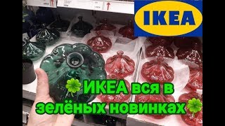 ‼ИКЕА 2020‼ВАУ ! яркие ШОКО-ЗЕЛЁНЫЕ новинки?