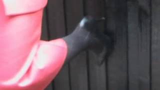 Sally's Metal High Heels