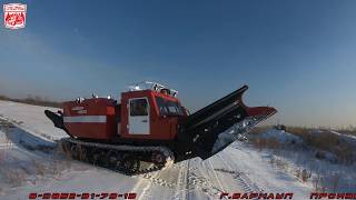 ???Лесопожарный трактор #ТТ4 ДОЗОР 4200 ???Алтайский трактор???