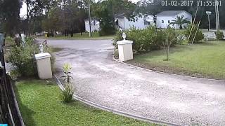 STEALING/MAIL BOX THIEVES STEALING OUT OF MAIL BOX