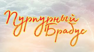 ?Пурпурный Брабус?WildCraft ? ?