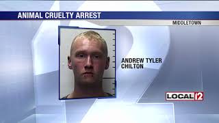 Butler County man charged with animal cruelty after allegedly hanging, beating kitten