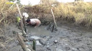 BẮT CÁ ĐỒNG MẮC CẠN, MỘT MÌNH TỰ SƯỚNG - CATCH FISHING