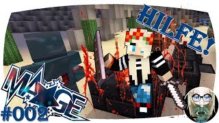 Hilfe, ich bringe alle in Gefahr! | Minecraft Mage | #002 | ChristinaLP [GER] Stadt Rot