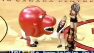 Toronto Raptors Mascot Eats Cheerleader