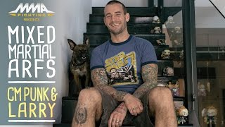 Mixed Martial Arfs: CM Punk and Larry