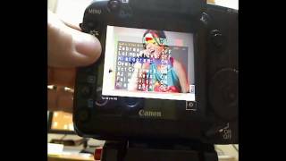 5D2 False Colour