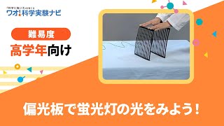 実験レシピ　偏光板で蛍光灯の光をみよう！