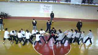 mxiaruli startebi 2011