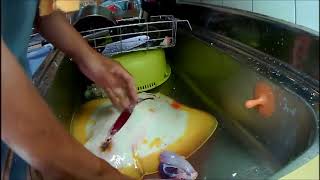 【かーびーの釣り日記】part41 エイ釣って捌いて食べてみた
