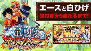 【サウスト】白ひげとエースの技付き星５当たるまで「サウザンドフェス」ガチャ やります！【無課金】