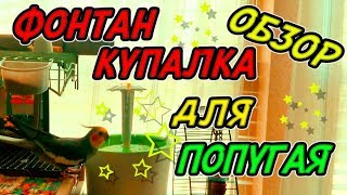 ФОНТАН КУПАЛКА ДЛЯ ПОПУГАЯ | ОБЗОР