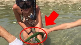 KIDS funny Challenge ЗМЕЯ НАПАЛА! Видео для детей  For kids  World Largest Snake ATTAKS!