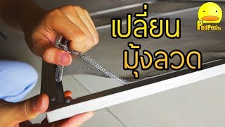 ทำงานพ่อบ้าน เปลี่ยน มุ้งลวด ให้แม่บ้าน - PedPedTV