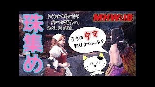 【MHW:IB】うちのタマ知りませんか？#2の続き【みんなで珠集め】