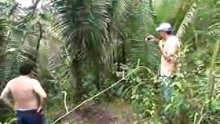 Enduro Lobo 2009
