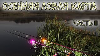 ЛОВЛЯ КАРПА ОСЕНЬЮ. Неудачный эксперимент. Часть 2
