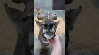That's the Spot