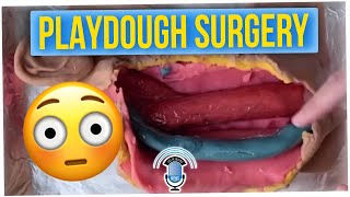 Mom Teaches Her Son Biology with Play-Doh Surgery (ft. Anthony Lee)