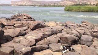 Fluss Senegal im Westen Malis, tolle Natur
