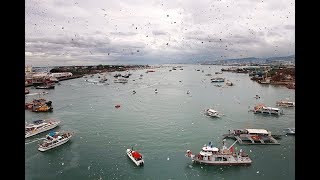 SINULOG FLUVIAL PARADE 2019 - CEBU, PHILIPPINES