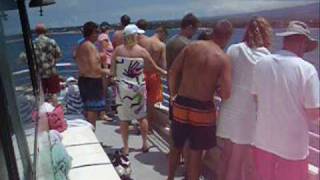 Ðàn Rùa Thần Nổi Lên Thăm Du Khách tại Maui Hawaii 2007