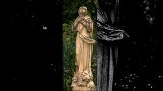 Львів Личаківське кладовище 1080р