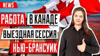 ИММИГРАЦИЯ В КАНАДУ ??  | Выездная сессия работодателей провинции Нью-Брансуик