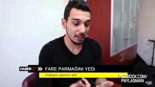Parmağını Yiyen Fare İçin İntikam Yemini Eden Genç