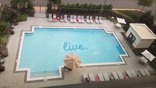 ZinsA-LIVE