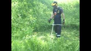 Stihl FS250 JEBNO