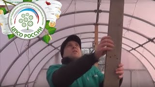 Как подготовить теплицу к зиме. Как установить подпорки.
