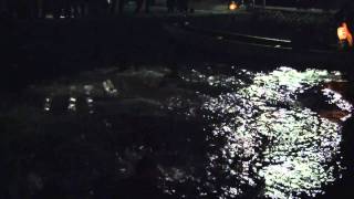 Ya Ya Matsuri Festival 2011 / ヤーヤ祭り