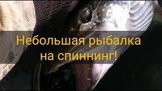 Небольшая рыбалка на спиннинг (часть 2)!